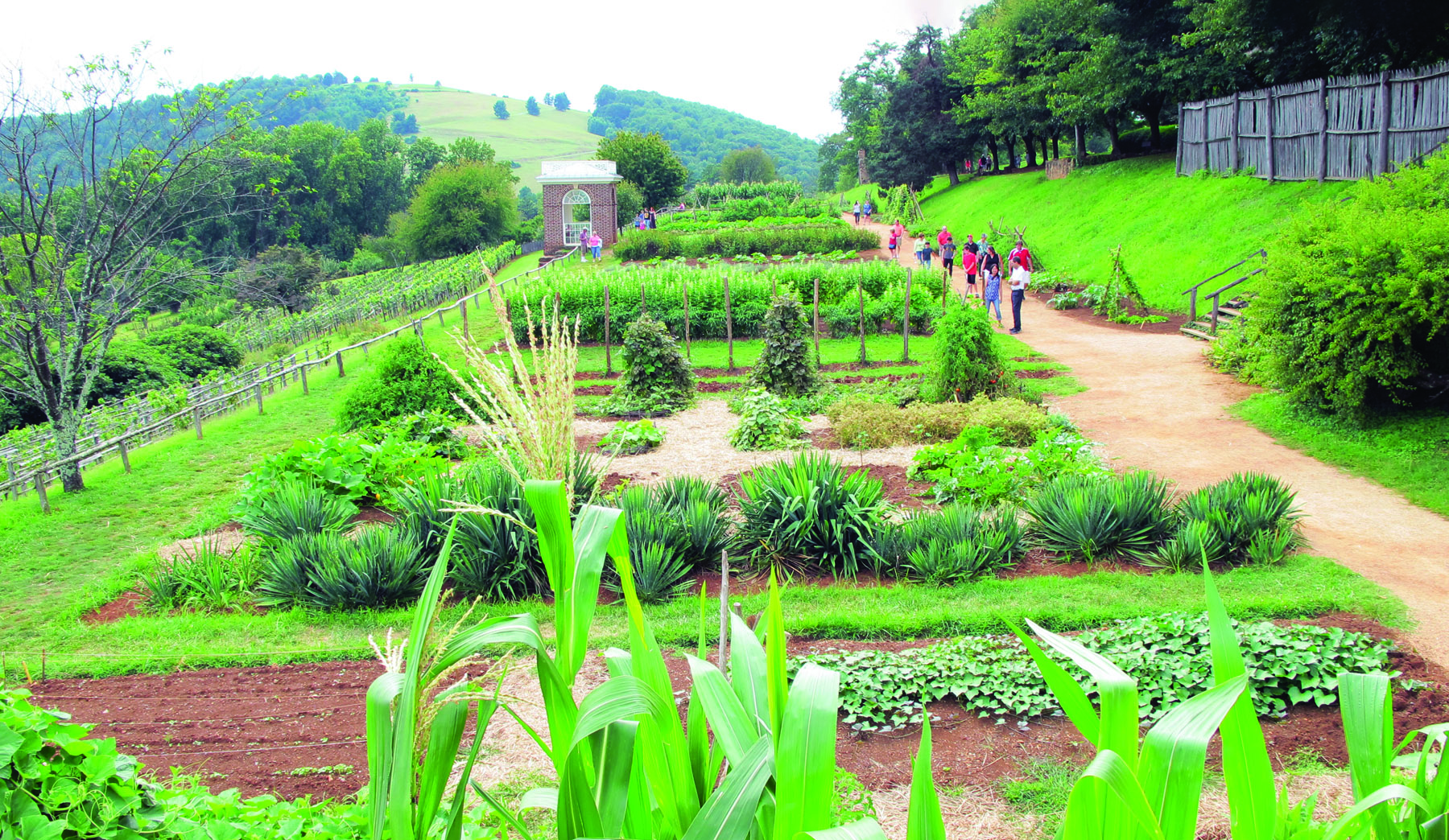 Gardening at Monticello with Pat Brodowski – Mother Earth News